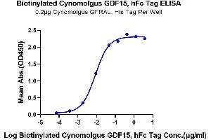 Immobilized Cynomolgus GFRAL, His Tag at 2 μg/mL (100 μL/Well) on the plate. (GDF15 Protein (AA 197-308) (Fc Tag,Biotin))