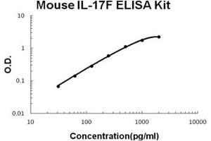 Mouse IL-17F PicoKine ELISA Kit standard curve