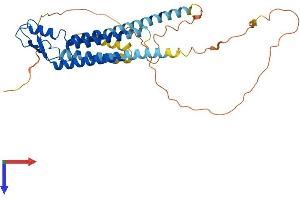 AlphaFold protein structure predicition of Mouse Recombinant Gja5 Protein, UniprotID Q01231