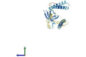 AlphaFold protein structure predicition of Human Recombinant SMNDC1 Protein, UniprotID O75940