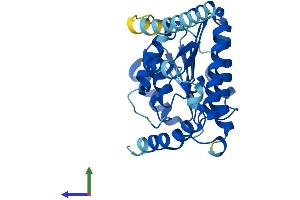 AlphaFold protein structure predicition of Mouse Recombinant Hsd17b3 Protein, UniprotID P70385