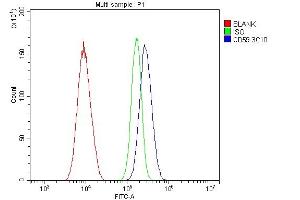 Flow Cytometry analysis of A549 cells using anti- CD59 antibody (ABIN7600941).