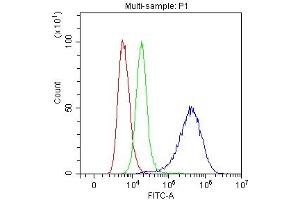 Flow Cytometry analysis of SiHa cells using anti-Mesothelin antibody (ABIN3043459). (Mesothelin anticorps  (AA 306-576))