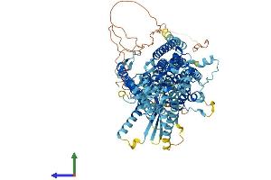 AlphaFold protein structure predicition of Human Recombinant ANO7 Protein, UniprotID Q6IWH7