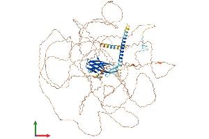 AlphaFold protein structure predicition of Human Recombinant PPP1R3A Protein, UniprotID Q16821