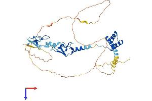 AlphaFold protein structure predicition of Mouse Recombinant Lhx3 Protein, UniprotID P50481