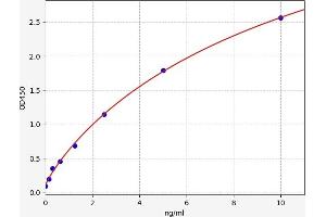 Typical standard curve (CASR Kit ELISA)
