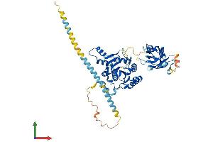 AlphaFold protein structure predicition of Mouse Recombinant Mgat4b Protein, UniprotID Q812F8