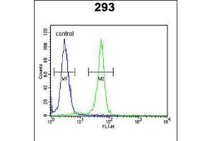 Flow cytometric analysis of 293 cells (right histogram) compared to a negative control cell (left histogram). (RRS1 anticorps  (C-Term))