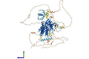 AlphaFold protein structure predicition of Mouse Recombinant Mysm1 Protein, UniprotID Q69Z66