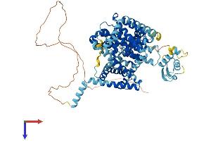 AlphaFold protein structure predicition of Mouse Recombinant Slc28a3 Protein, UniprotID Q9ERH8