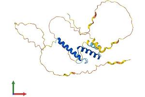 AlphaFold protein structure predicition of Human Recombinant MESP1 Protein, UniprotID Q9BRJ9