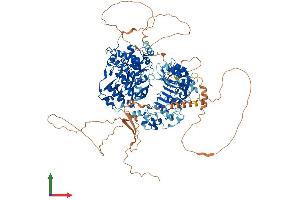 AlphaFold protein structure predicition of Human Recombinant KDM2A Protein, UniprotID Q9Y2K7