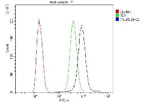 Flow Cytometry analysis of SiHa cells using anti-CTBP2 antibody (ABIN3042768). (CTBP2 anticorps  (AA 321-445))