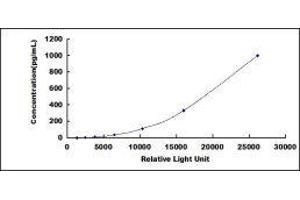 ELISA image for Tumor Necrosis Factor alpha (TNF alpha) CLIA Kit (ABIN491830)