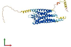 AlphaFold protein structure predicition of Human Recombinant NPSR1 Protein, UniprotID Q6W5P4