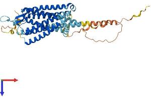 AlphaFold protein structure predicition of Human Recombinant NTSR2 Protein, UniprotID O95665
