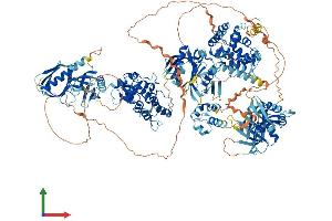 AlphaFold protein structure predicition of Human Recombinant ARAP1 Protein, UniprotID Q96P48