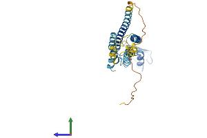 AlphaFold protein structure predicition of Mouse Recombinant Gjb3 Protein, UniprotID P28231