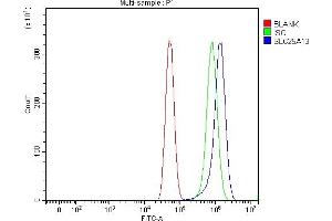 Flow Cytometry analysis of U87 cells using anti-Citrin/SLC25A13 antibody (ABIN7599512). (slc25a13 anticorps  (AA 1-643))