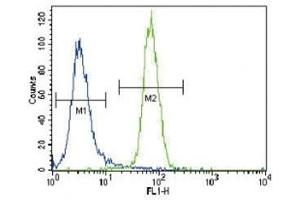 RUNX2 antibody flow cytometric analysis of NCI-H460 cells (right histogram) compared to a negative control (left histogram).