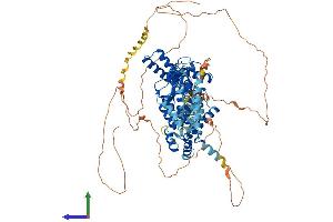 AlphaFold protein structure predicition of Mouse Recombinant Hcn2 Protein, UniprotID O88703