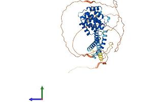 AlphaFold protein structure predicition of Human Recombinant TOM1L1 Protein, UniprotID O75674