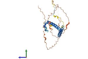 AlphaFold protein structure predicition of Human Recombinant SWI5 Protein, UniprotID Q1ZZU3