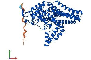AlphaFold protein structure predicition of Mouse Recombinant Fads3 Protein, UniprotID Q9JJE7