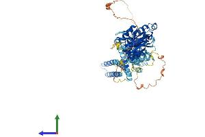 AlphaFold protein structure predicition of Mouse Recombinant Kif2a Protein, UniprotID P28740