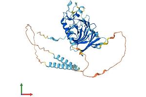 AlphaFold protein structure predicition of Mouse Recombinant Rnf135 Protein, UniprotID Q9CWS1