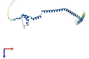 AlphaFold protein structure predicition of Mouse Recombinant Gadd45gip1 Protein, UniprotID Q9CR59