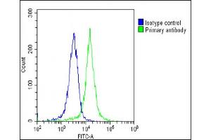 Overlay histogram showing K562 cells stained with (ABIN6243308 and ABIN6578864)(green line).