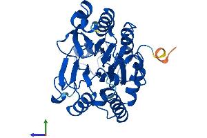 AlphaFold protein structure predicition of Human Recombinant CPPED1 Protein, UniprotID Q9BRF8