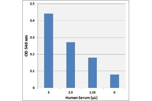 L-Amino Acid detection in human serum using the L-Amino Acid Assay Kit (Colorimetric). (L-Amino Acid Assay Kit (Colorimetric))