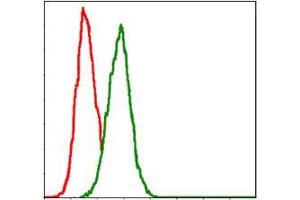 Flow cytometric analysis of Hela cells using GSTM1 mouse mAb (green) and negative control (red).