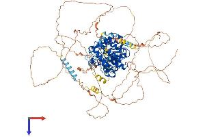 AlphaFold protein structure predicition of Human Recombinant HDAC7 Protein, UniprotID Q8WUI4