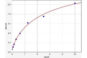 Typical standard curve (MMP28 Kit ELISA)