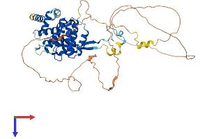 AlphaFold protein structure predicition of Mouse Recombinant Hycc1 Protein, UniprotID Q6P9N1
