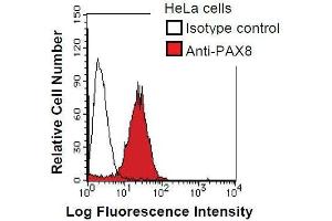 HeLa cells were fixed in 2% paraformaldehyde/PBS and then permeabilized in 90% methanol.