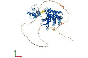 AlphaFold protein structure predicition of Human Recombinant PPARG Protein, UniprotID P37231