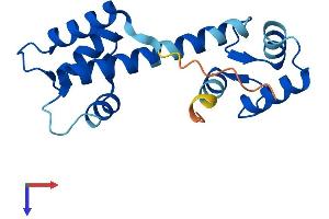 AlphaFold protein structure predicition of Human Recombinant EFCAB11 Protein, UniprotID Q9BUY7