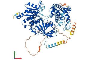 AlphaFold protein structure predicition of Mouse Recombinant Uba2 Protein, UniprotID Q9Z1F9