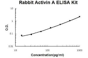 Rabbit Activin A PicoKine ELISA Kit standard curve (INHBA Kit ELISA)
