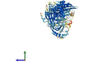 AlphaFold protein structure predicition of Mouse Recombinant Scin Protein, UniprotID Q60604