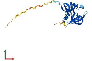 AlphaFold protein structure predicition of Human Recombinant AANAT Protein, UniprotID Q16613