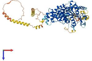 AlphaFold protein structure predicition of Human Recombinant SERAC1 Protein, UniprotID Q96JX3