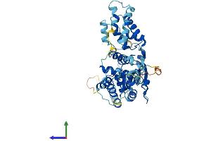 AlphaFold protein structure predicition of Mouse Recombinant Orc5 Protein, UniprotID Q9WUV0