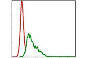 Flow cytometric analysis of HepG2 cells using UBE2I mouse mAb (green) and negative control (red).