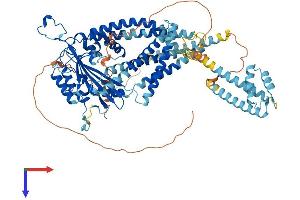 AlphaFold protein structure predicition of Human Recombinant PKD2L1 Protein, UniprotID Q9P0L9